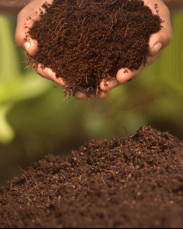 Coco peat made with coconut