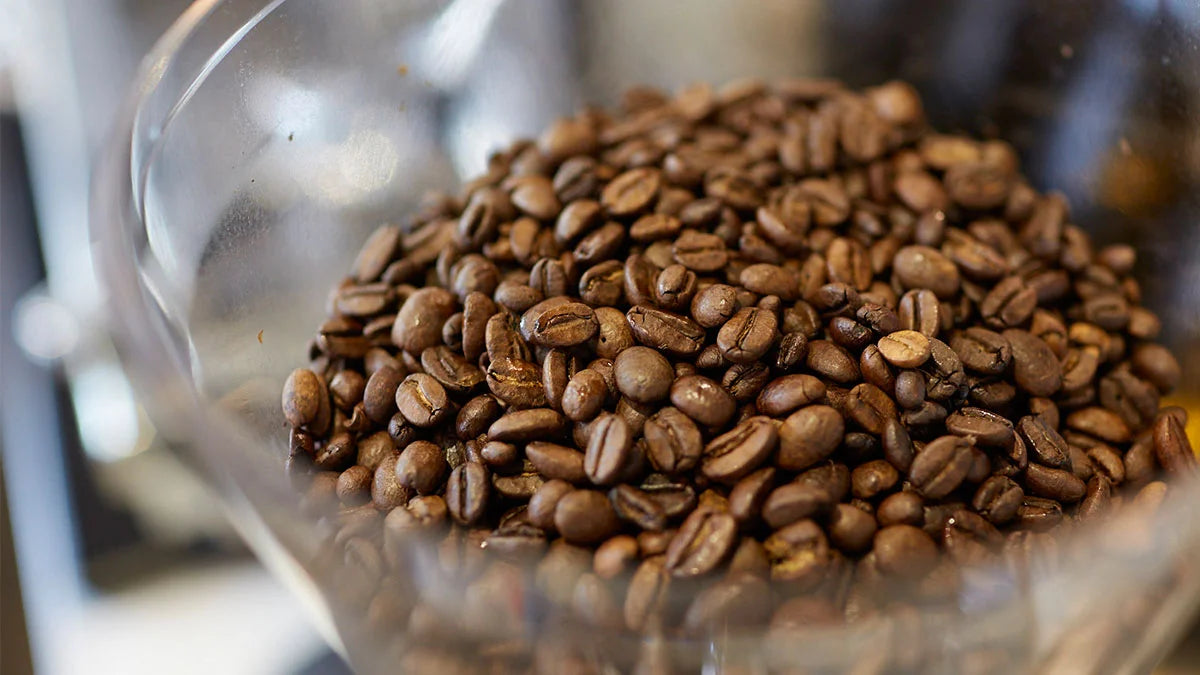 Philippine Arabica Coffee