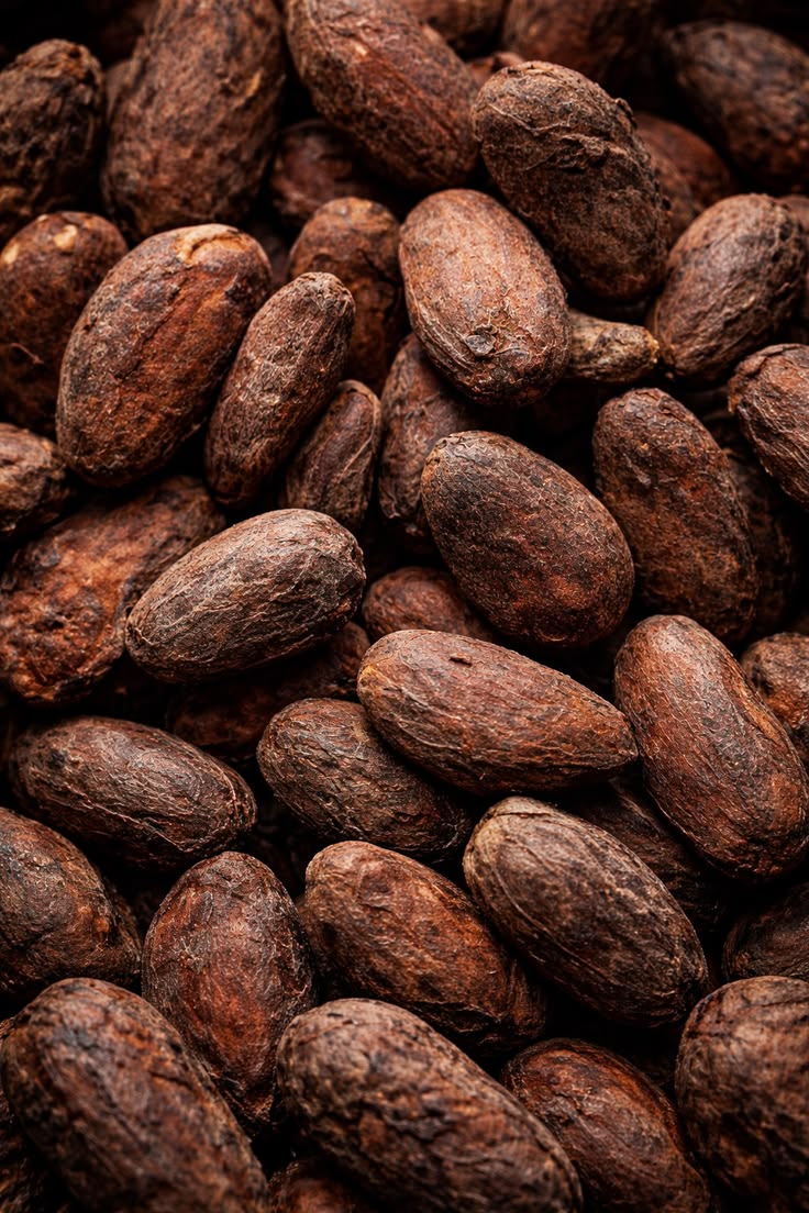 Fermented and dried · Cacao