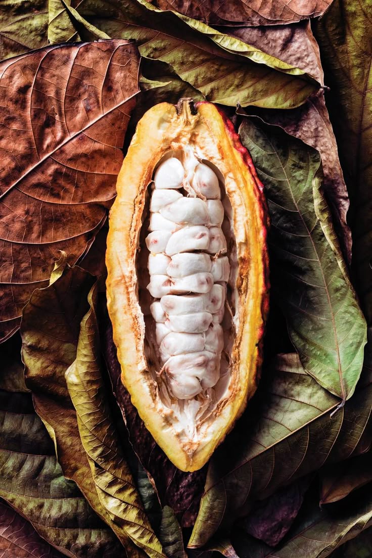 Wet beans · Cacao