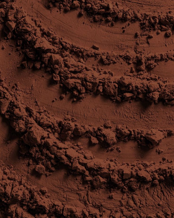 Natural powder made with cacao