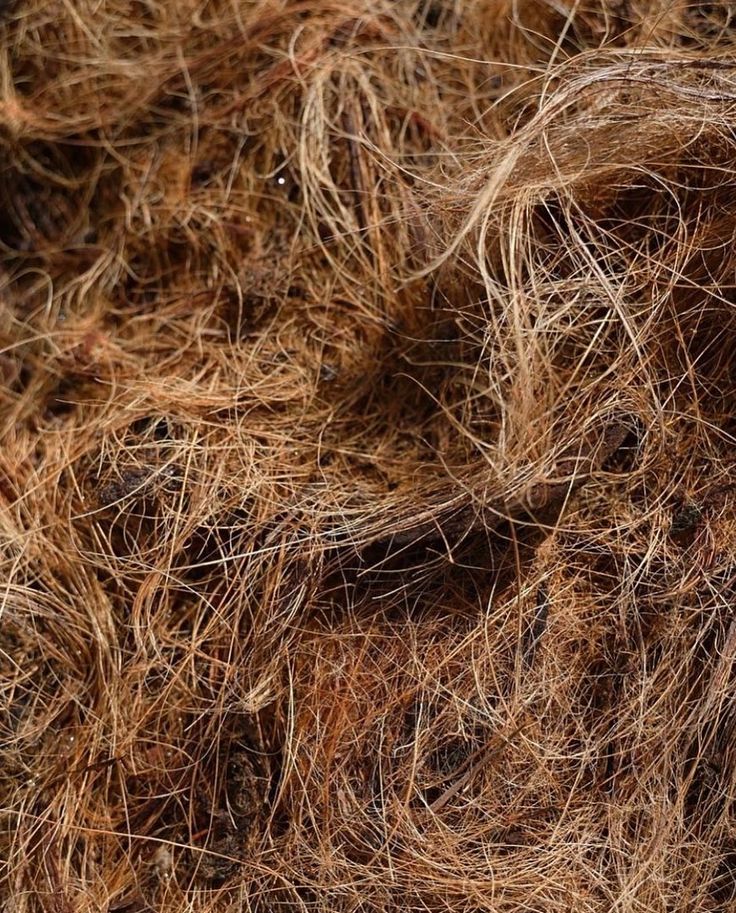 Coir fibre made with coconut